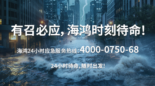 海鸿有召必应，驰援广西复电！